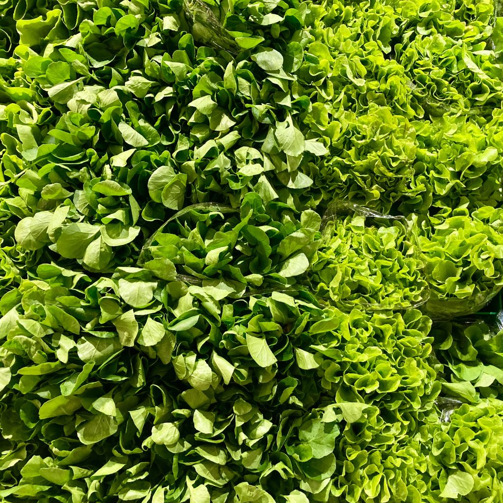 Návrh bez názvu (29)